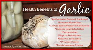Any infections caused by fungus or bacteria can be treated with. Homemade Goot Garlic Oil Ointment Treatment For Infections And Colds