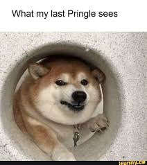 What My Last Pringle Sees Ifunny Memes Funny Memes New Memes