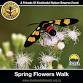 Spring Flowers Walk event in Roodepoort