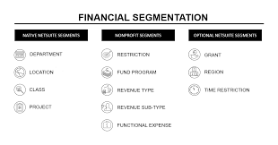 social impact for nonprofit organizations netsuite