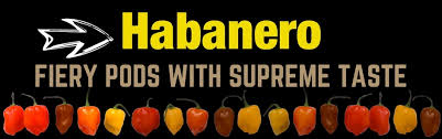 Wash the peppers and dry them with a towel or paper towel before processing them. Buy Your Habanero Online