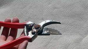Then with steel wool, a brush or a crumpled up piece of tin foil, rub the rust off in a circular motion. How To Remove Rust From Tools The Easiest Way Epic Gardening