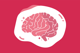 Bentuk otak kiri yakni separuh dari otak besar yang saling berkaitan pada saraf dan jaringan otak kanan. Yakin Otak Kiri Lebih Dominan Atau Sebaliknya Ini Kata Sains