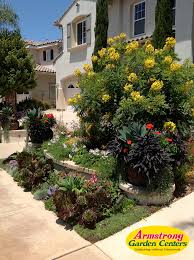 Armstrong Garden Centers 1 Ryan Burrow Garden Garden Center Landscape Design
