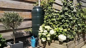 Rain barrel mistakes