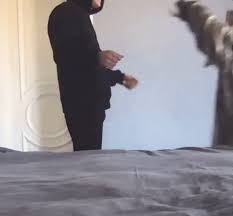 Ariana grande first gave a public nod to her new relationship status with boyfriend dalton gomez during lockdown, this year when she released her soundtrack to quarantine stuck with u with justin. Ariana Grande Is Engaged To Dalton Gomez Here S What We Know