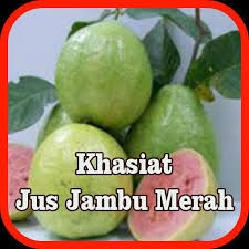 Manfaat dan khasiat jambu biji ternyata setara dengan buahnya yang juga bisa menyembuhkan beberapa penyakit dan juga untuk perawatan kecantikan. Manfaat Khasiat Jus Jambu Merah For Android Apk Download