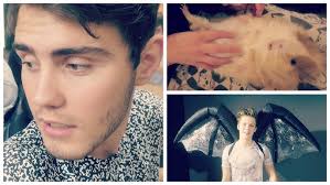 Cute Guinea Pig Pamper Time