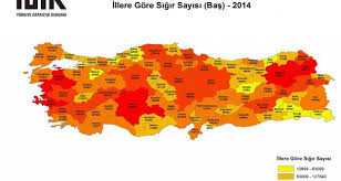Iste Gumushane De Ki Hayvan Varligi Haberi Haberleri Gumushane Haber
