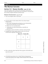 Biology 14.1 human chromosomes answer key. What Is Karyotyping Quizlet