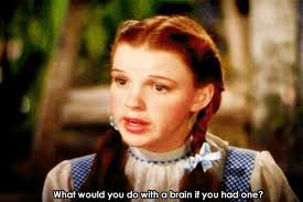 If You Only Had A Brain Dorothy Wizard Of Oz Wizard Of Oz Wizard Of Oz Pictures