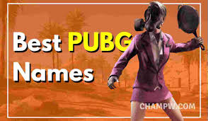 Pubg name funny stylish, best, ideas, player names, pub names generator, cool, funny, nicknames for profile, pubg clan & crew names. 700 Best Pubg Names Stylish Cool Funny Pubg Names