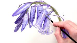 Into the woods, fine art print. How To Paint Iridescent Bluebells In Watercolour With Anna Mason Youtube
