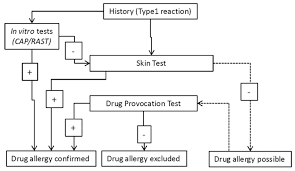 Flow Chart For The Evaluation Of Type 1 Hypersensitivity