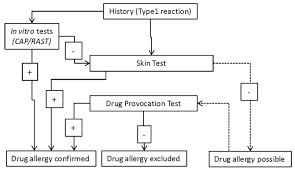 flow chart for the evaluation of type 1 hypersensitivity