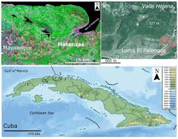 Check spelling or type a new query. Late Holocene Land Vertebrate Fauna From Cueva De Los Nesofontes Western Cuba Stratigraphy Last Appearance Dates Diversity And Paleoecology Biorxiv