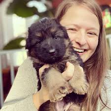 A Heartwarming Story of Unexpected Joy: Welcoming a Litter of Adorable  Puppies