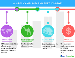 They don't have time to make their own lunch. Top Factors Driving The Global Camel Meat Market Technavio Business Wire