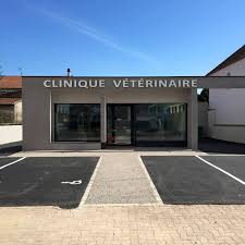 Clinique Vétérinaire des Drs Delubac et Royer - Le Coteau