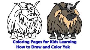 Yak coloring pages, yak colouring book, over 30 pages to color, cute wild yak, domestic yak, bison colouring pages for boys, girls,. Coloring Pages For Kids Learning How To Draw And Color Yak Youtube