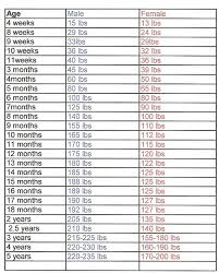 78 Inquisitive Mastiff Growth Chart Height