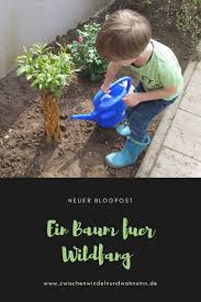In Unserem Garten Wachst Nun Ein Neuer Baum Und Er Wird Gut Umsorgt Von Meinem Sohn Denn Es Ist Sein Baum Und Sein Ganzer Stolz Baum Pflanzen Rosenstrauch