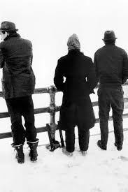 Watch Stranger Than Paradise Streaming Online | Hulu