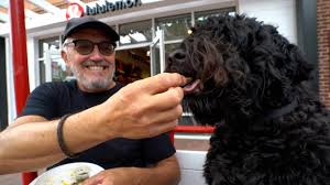 Moon and Stars crafts Colombian arepas with Vermont-grown corn