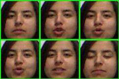 Automatic Lip Reading: Classification of Words and Phrases using  Convolutional Neural Network