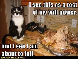 Thanksgiving Memes Geeks Gamers