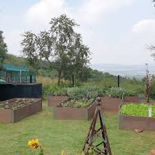 Grant Pringle, lead agronomist at @pannarseedza, shares more insight into  the innovative Panagri practical research initiative. #Nampo2024  #FarmersWeeklySA