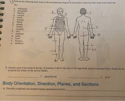 The palms are facing forward with the fingers extended, and the thumbs are pointing away from the body. Solved Ndicate The Following Body Areas On The Accompanyi Chegg Com