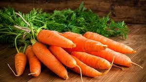 Are carrots good or bad for dogs? Can Dogs Eat Carrots Barking Royalty
