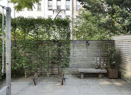 Has your neighbor decided to build an adu with windows facing directly into your back yard? Privacy Landscaping How To Use Plants In A City Garden Gardenista