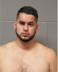 ᐅ Illinois Criminal Records 2009-2025