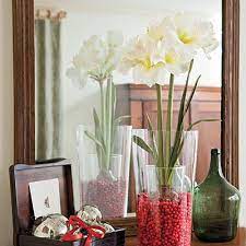 Decorate With Cranberries Holiday Decor Amaryllis Bulbs Decor