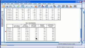 Cronbach S Alpha Spss Part 2 Cronbach S Alpha Spss Statistics Alpha