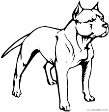 Even dogs need the freedom to run, jump and play and not always in the dog cage. Pitbull Coloring Pages Pit Bull Item Printable Coloring4free Coloring4free Com