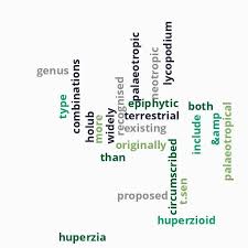 Image result for Huperzia afromontana