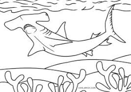 If you consider that your copyright is violated on. Free Printable Shark Coloring Pages For Kids