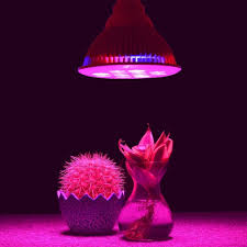 Blue led grow light bulb. Free Download Led Grow Light Bulb E27 36w 8 Red 4 Blue Led Hydroponics Plant Grow 1000x1000 For Your Desktop Mobile Tablet Explore 49 Wallpaper Led Grow Light Wallpaper