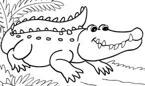 Here are 10 fantastic free alligator and crocodile coloring pages for everyone in your family. Pin By Sharon Howell On Vbs Crocodile Coloring Pages Animal Coloring Page Coloring Pages