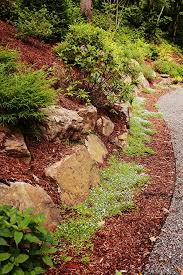 Landscape Landscape Design Ideas Outdoor Living Space Ideas Green Space Ideas North Carolina Landscape C Landscape Design Residential Landscaping Landscape