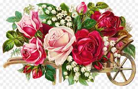 Fleurs des champs est une boutique de fleurs, de plantes et de compositions florales pour toutes les occasions : Fleur Des Champs Anniversaire Fleur Png Fleur Des Champs Anniversaire Fleur Transparentes Png Gratuit