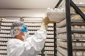 Butanvac, la primera vacuna brasilera contra el coronavirus. Butantan Inicia A Producao Da Butanvac Veja O Passo A Passo De Fabricacao Da Vacina Instituto Butantan