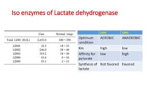 Cardiac Profile Tests Biochemical