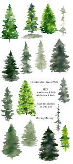 Watercolor Pine Trees Christmas Clipart Winter Clipart Etsy Watercolor Christmas Tree Forest Landscape Watercolor Trees