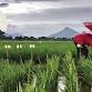 Cultivating Resilient Food Systems in a Changing Climate