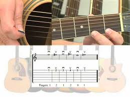 In this complete beginner's guide you'll learn how to become a guitar player so you can play riffs/licks, chords, songs and more. First Guitar Lesson Free For All Beginners Easy Acoustic Half Step Mark John Sternal Youtube