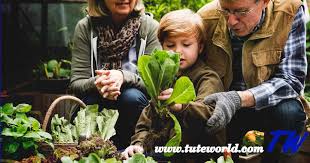 Many people find joy and a sense of accomplishment in working around their home and garden, fixing things up, and using their hands to get things done. Introduction To Home Gardening